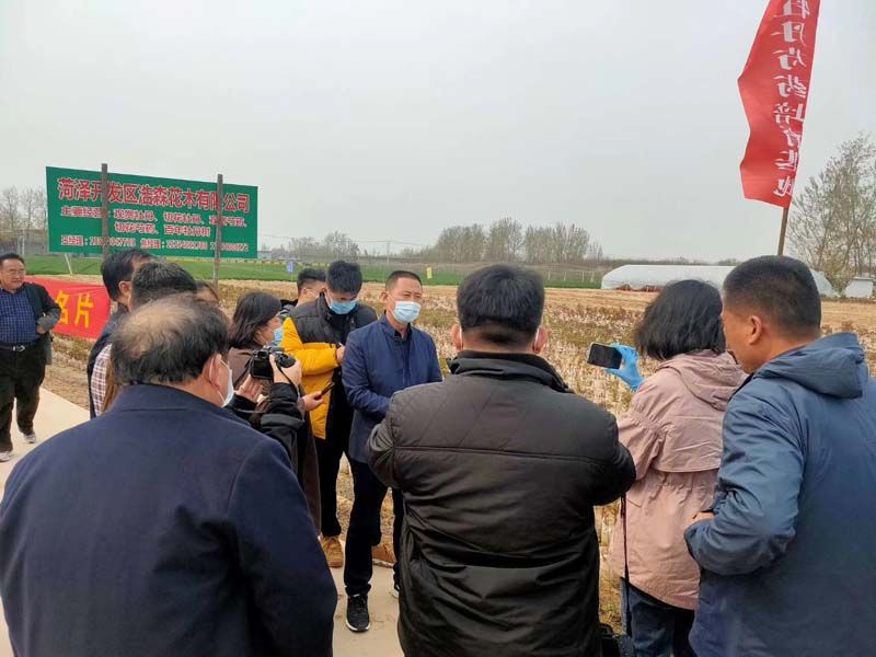 市牡丹產業(yè)中心、市宣傳部的領導及各大媒體來公司基地考察指導工作