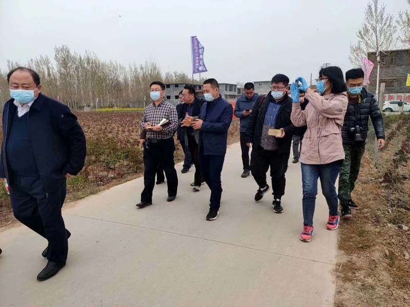 市牡丹產業(yè)中心、市宣傳部的領導及各大媒體來公司基地考察指導工作