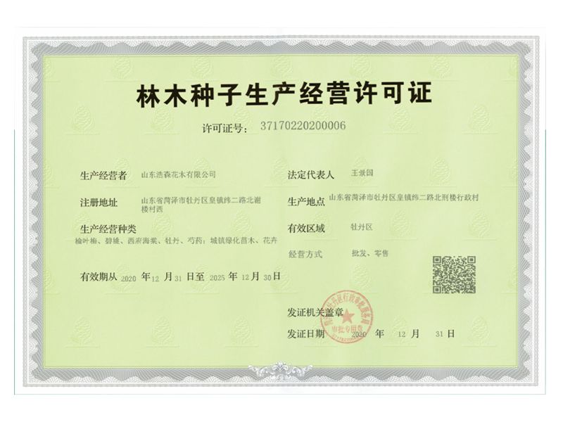 林木種子生產(chǎn)經(jīng)營許可證